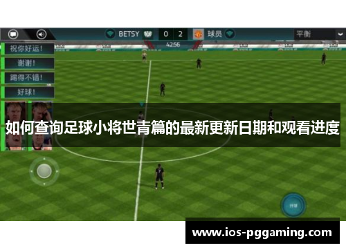 如何查询足球小将世青篇的最新更新日期和观看进度